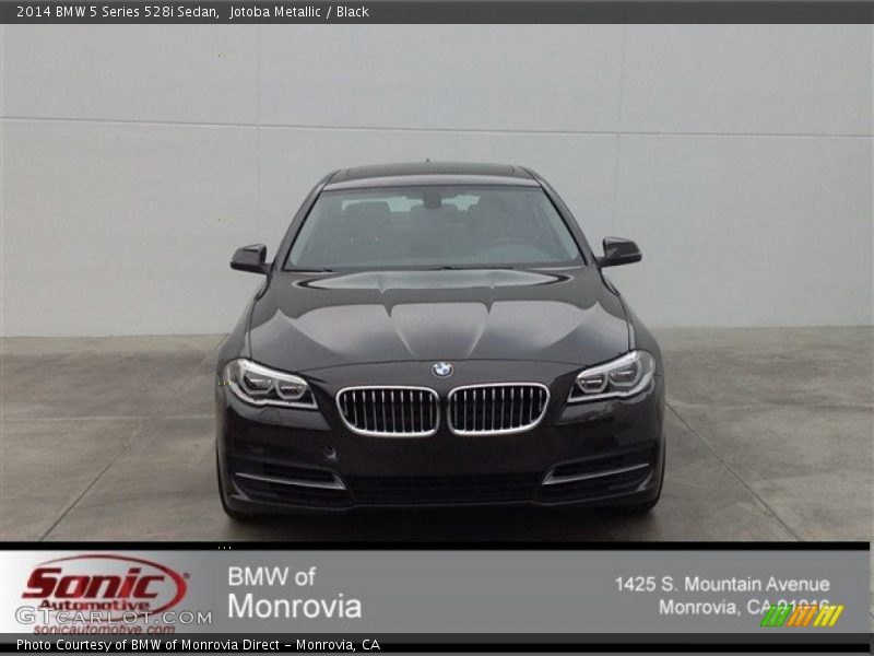 Jotoba Metallic / Black 2014 BMW 5 Series 528i Sedan