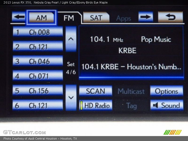 Nebula Gray Pearl / Light Gray/Ebony Birds Eye Maple 2013 Lexus RX 350