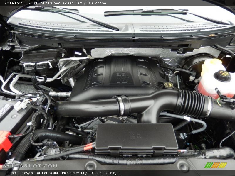 Green Gem / Pale Adobe 2014 Ford F150 XLT SuperCrew