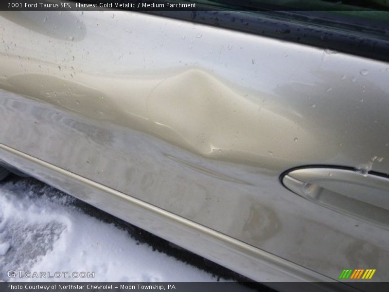 Harvest Gold Metallic / Medium Parchment 2001 Ford Taurus SES