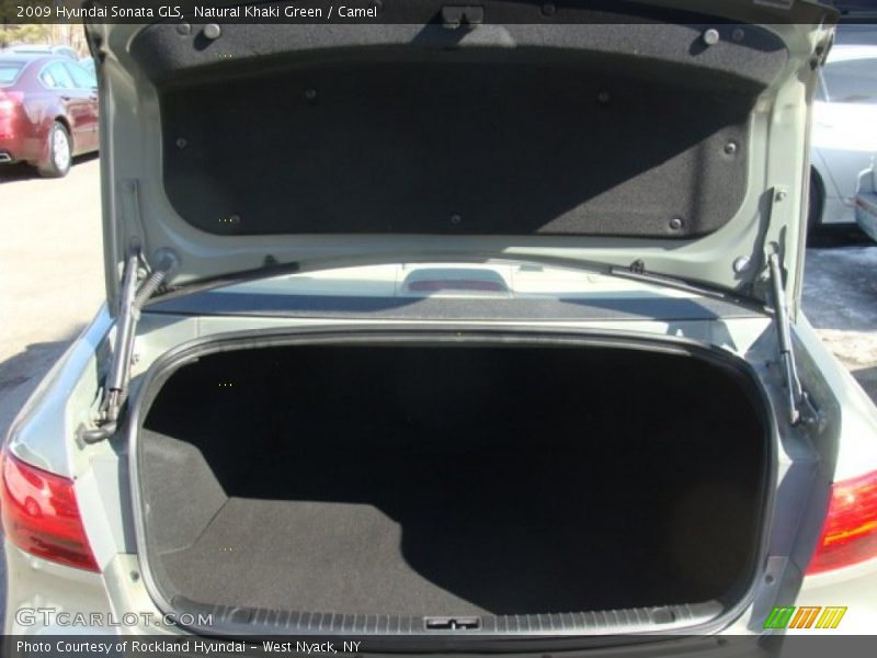 Natural Khaki Green / Camel 2009 Hyundai Sonata GLS