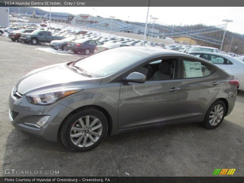 Gray / Gray 2014 Hyundai Elantra SE Sedan