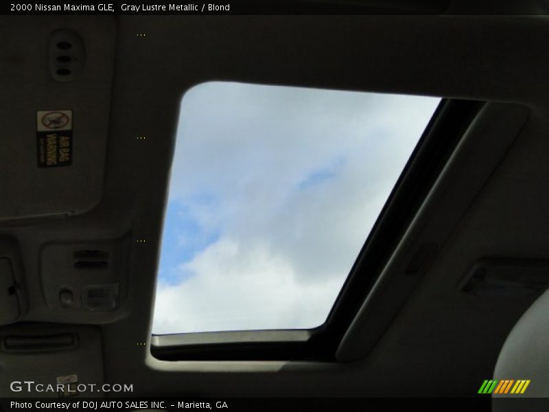 Gray Lustre Metallic / Blond 2000 Nissan Maxima GLE