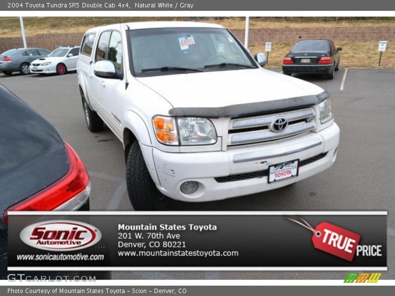 Natural White / Gray 2004 Toyota Tundra SR5 Double Cab 4x4