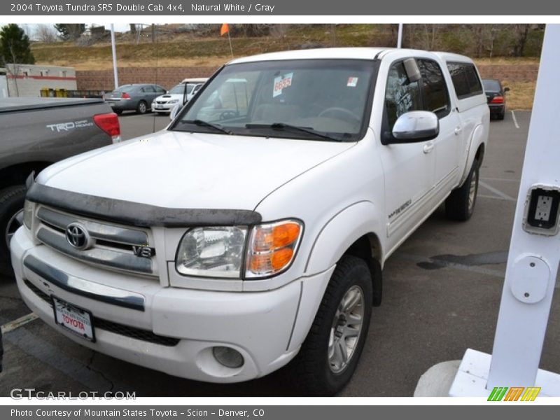 Natural White / Gray 2004 Toyota Tundra SR5 Double Cab 4x4