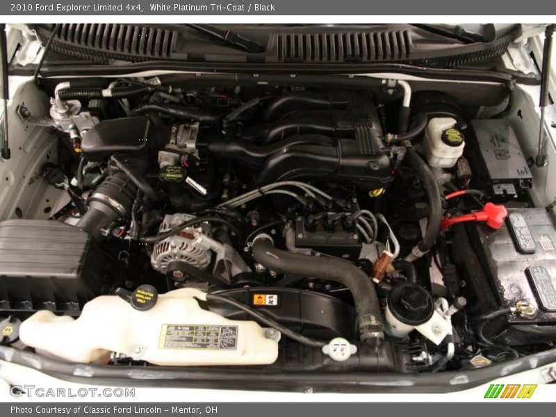 White Platinum Tri-Coat / Black 2010 Ford Explorer Limited 4x4