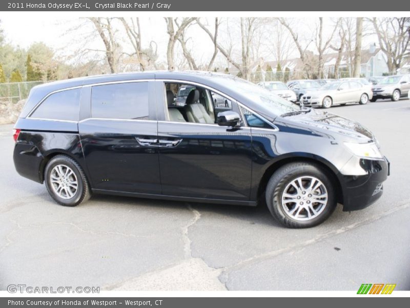 Crystal Black Pearl / Gray 2011 Honda Odyssey EX-L