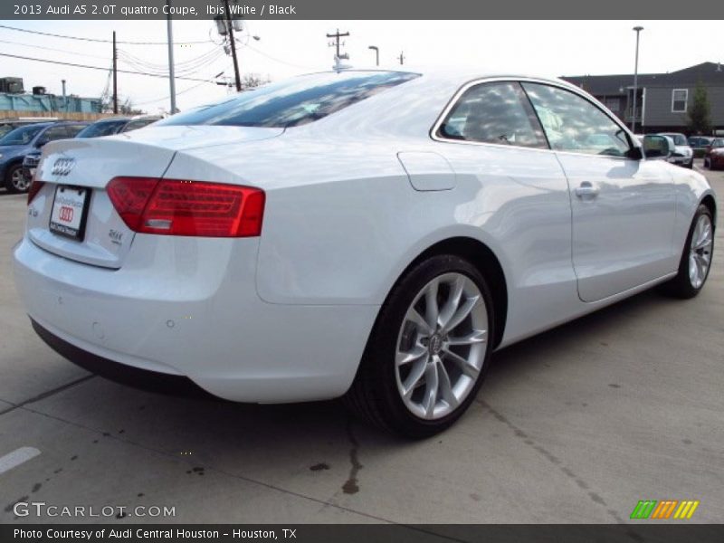 Ibis White / Black 2013 Audi A5 2.0T quattro Coupe