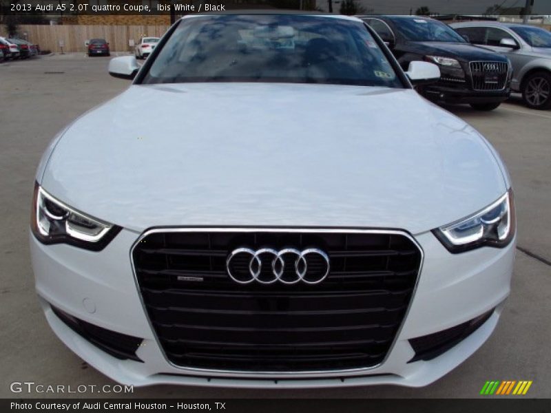 Ibis White / Black 2013 Audi A5 2.0T quattro Coupe