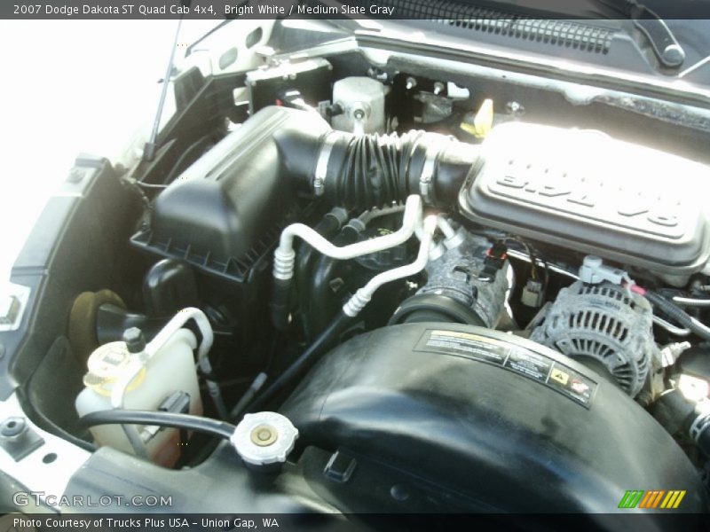 Bright White / Medium Slate Gray 2007 Dodge Dakota ST Quad Cab 4x4