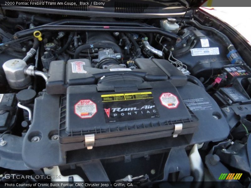 Black / Ebony 2000 Pontiac Firebird Trans Am Coupe