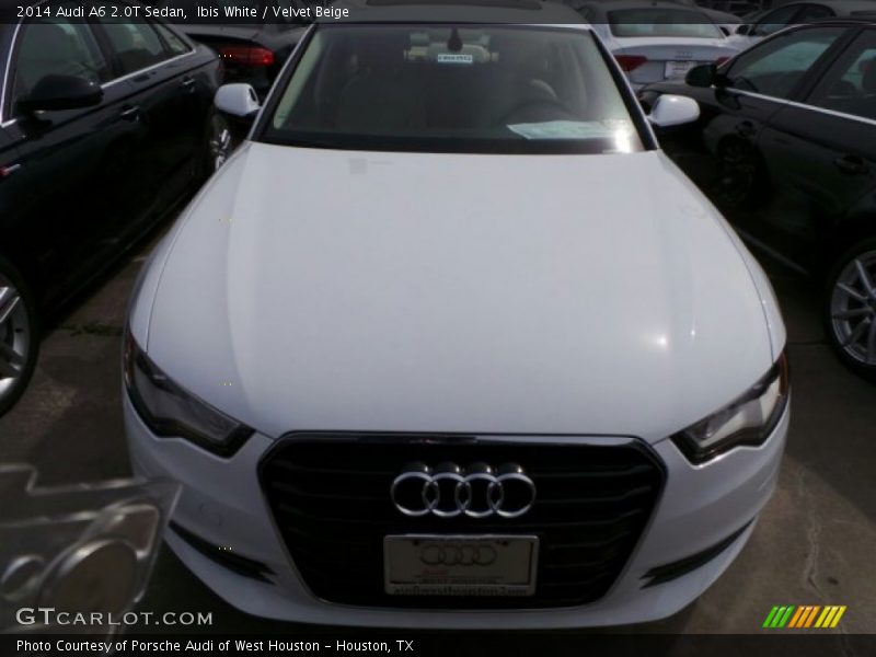 Ibis White / Velvet Beige 2014 Audi A6 2.0T Sedan