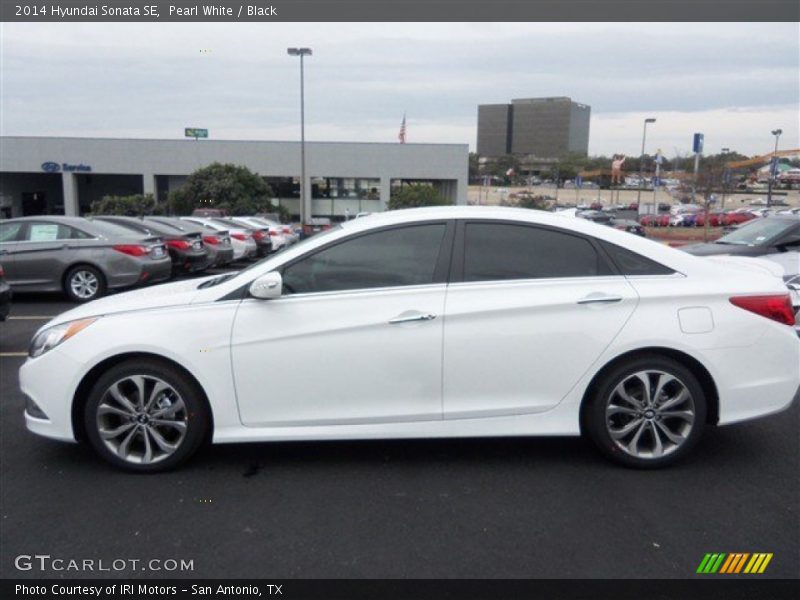 Pearl White / Black 2014 Hyundai Sonata SE