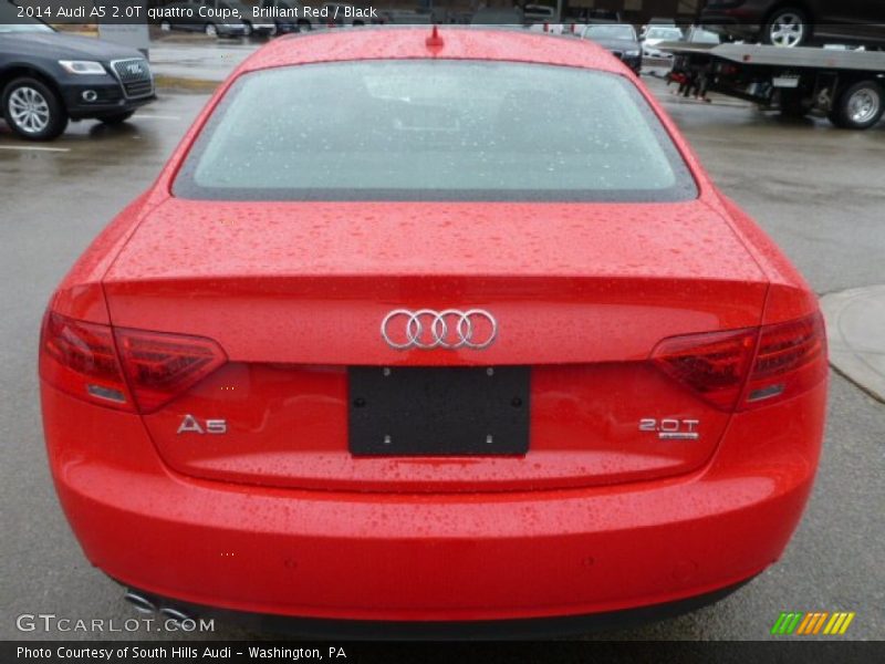 Brilliant Red / Black 2014 Audi A5 2.0T quattro Coupe