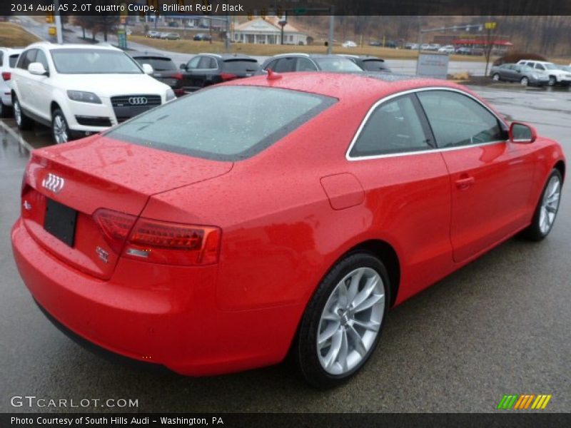 Brilliant Red / Black 2014 Audi A5 2.0T quattro Coupe