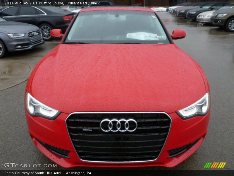 Brilliant Red / Black 2014 Audi A5 2.0T quattro Coupe
