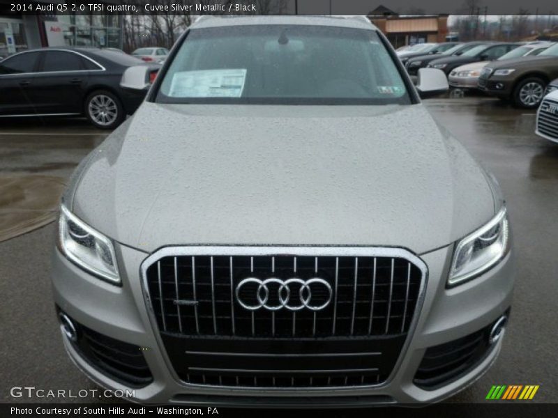Cuvee Silver Metallic / Black 2014 Audi Q5 2.0 TFSI quattro