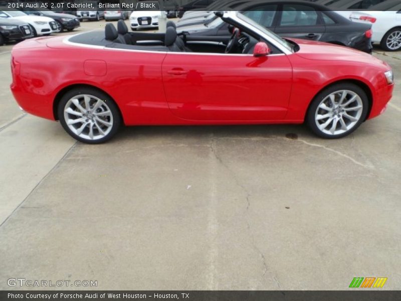 Brilliant Red / Black 2014 Audi A5 2.0T Cabriolet