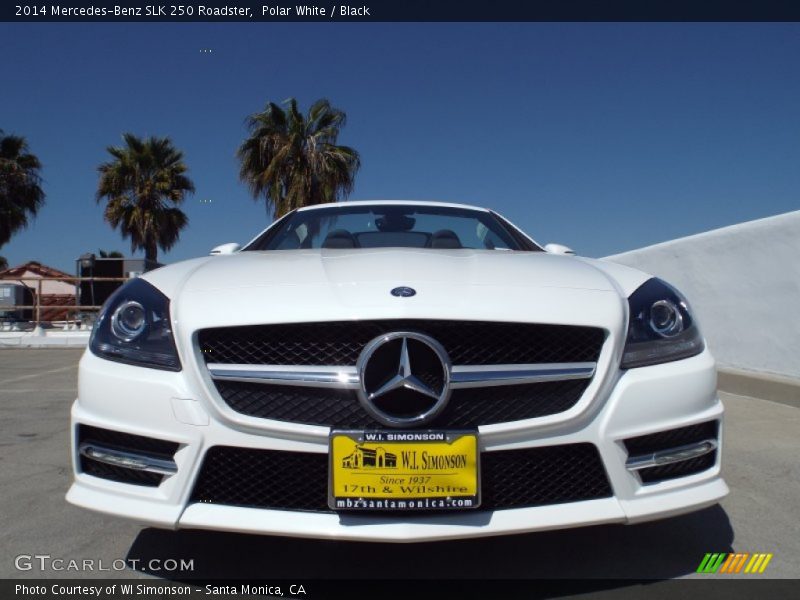 Polar White / Black 2014 Mercedes-Benz SLK 250 Roadster