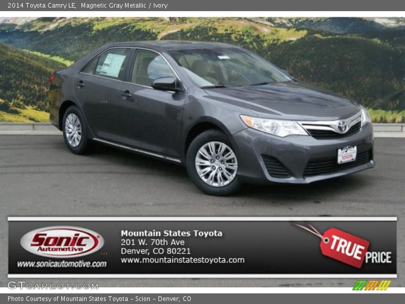 Magnetic Gray Metallic / Ivory 2014 Toyota Camry LE