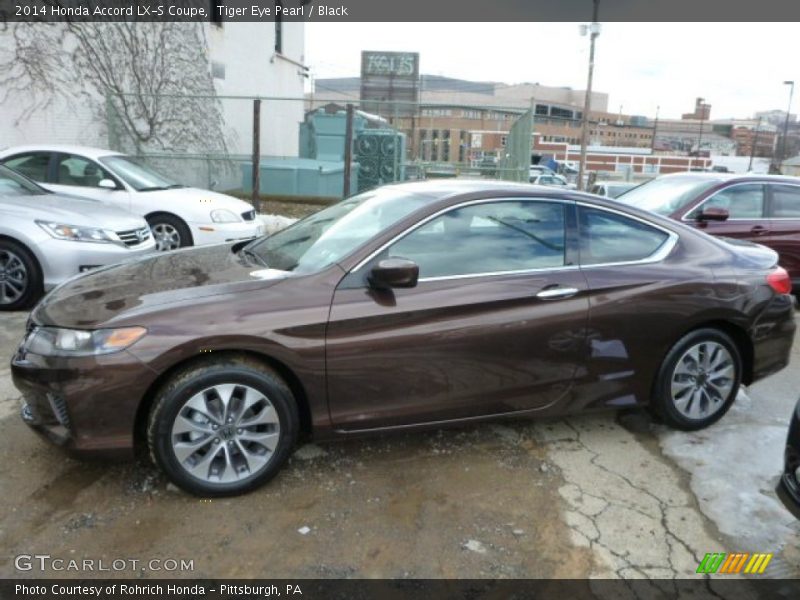  2014 Accord LX-S Coupe Tiger Eye Pearl