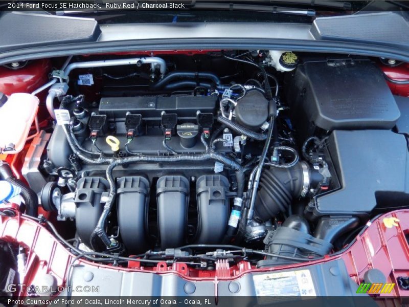 Ruby Red / Charcoal Black 2014 Ford Focus SE Hatchback