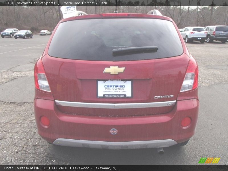 Crystal Red Tintcoat / Black 2014 Chevrolet Captiva Sport LT