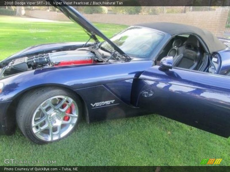 Viper Violet Pearlcoat / Black/Natural Tan 2008 Dodge Viper SRT-10