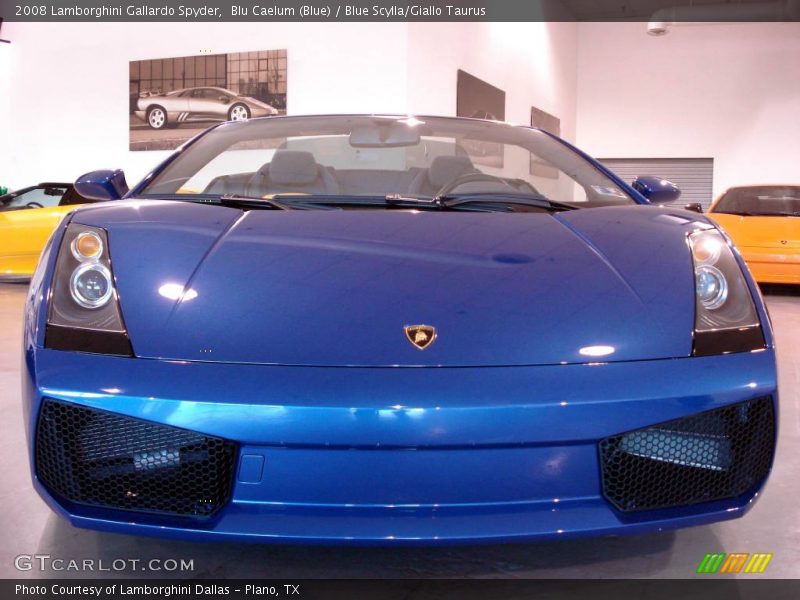 Blu Caelum (Blue) / Blue Scylla/Giallo Taurus 2008 Lamborghini Gallardo Spyder