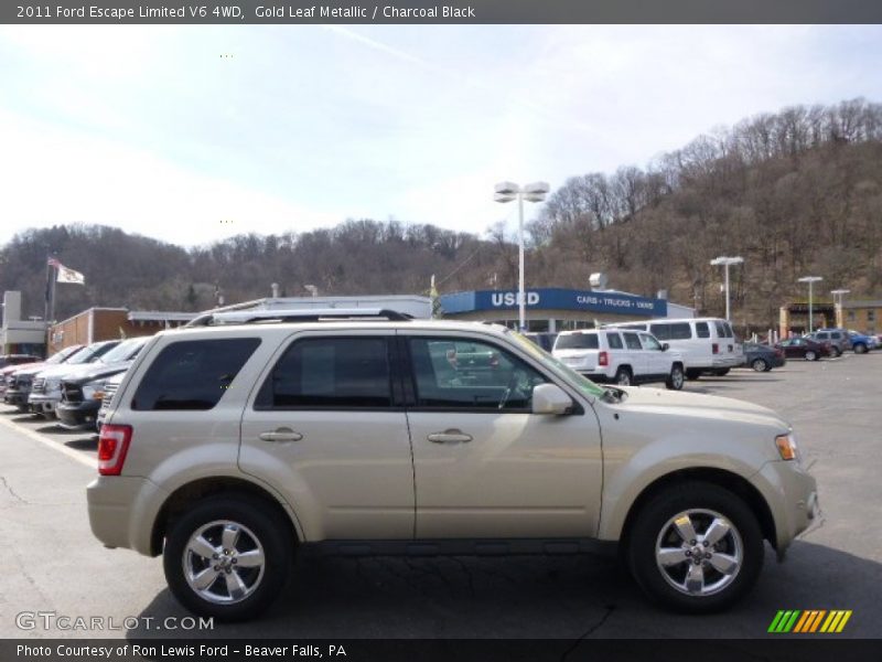 Gold Leaf Metallic / Charcoal Black 2011 Ford Escape Limited V6 4WD