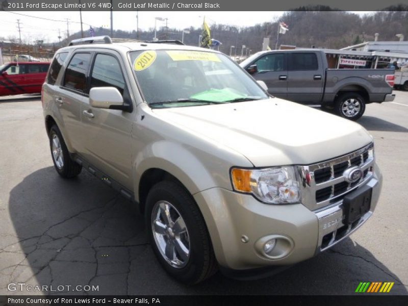 Gold Leaf Metallic / Charcoal Black 2011 Ford Escape Limited V6 4WD