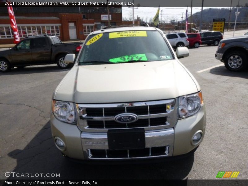 Gold Leaf Metallic / Charcoal Black 2011 Ford Escape Limited V6 4WD