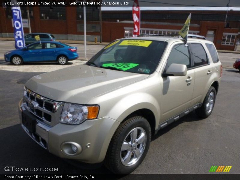 Gold Leaf Metallic / Charcoal Black 2011 Ford Escape Limited V6 4WD