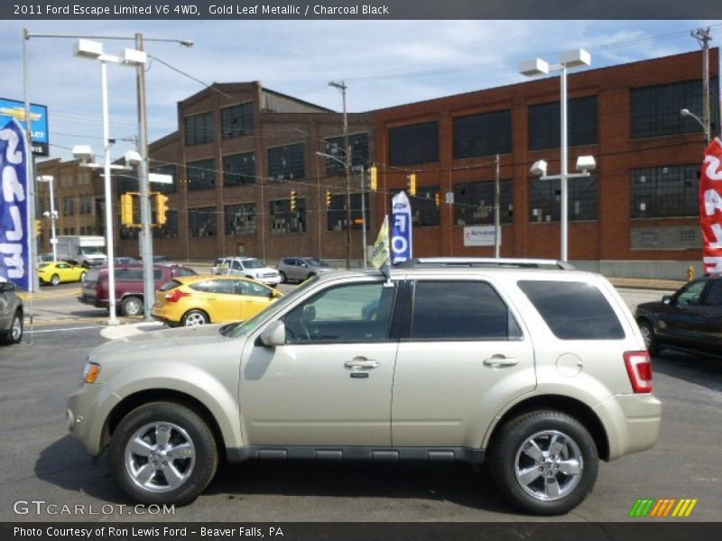 Gold Leaf Metallic / Charcoal Black 2011 Ford Escape Limited V6 4WD