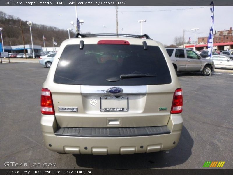 Gold Leaf Metallic / Charcoal Black 2011 Ford Escape Limited V6 4WD