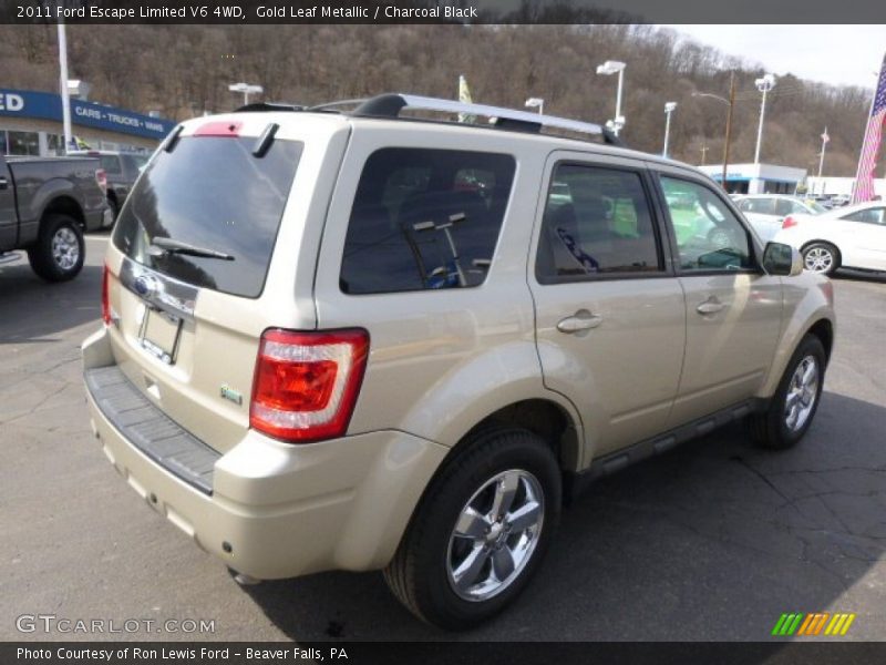 Gold Leaf Metallic / Charcoal Black 2011 Ford Escape Limited V6 4WD