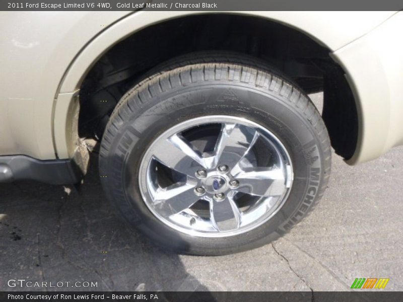 Gold Leaf Metallic / Charcoal Black 2011 Ford Escape Limited V6 4WD