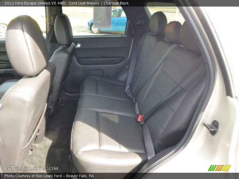 Gold Leaf Metallic / Charcoal Black 2011 Ford Escape Limited V6 4WD