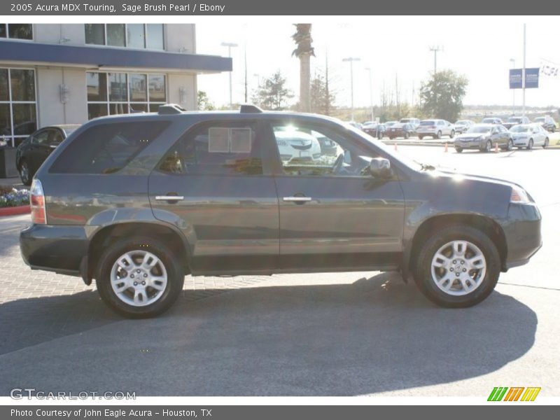 Sage Brush Pearl / Ebony 2005 Acura MDX Touring