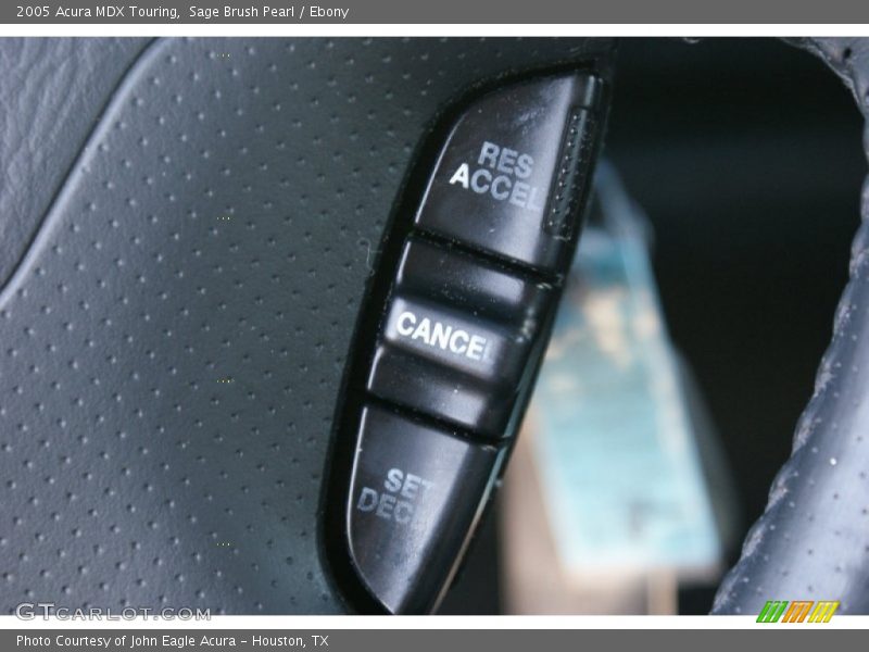 Sage Brush Pearl / Ebony 2005 Acura MDX Touring