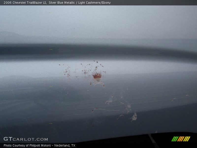 Silver Blue Metallic / Light Cashmere/Ebony 2006 Chevrolet TrailBlazer LS