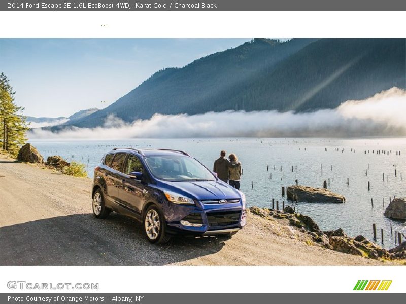 Karat Gold / Charcoal Black 2014 Ford Escape SE 1.6L EcoBoost 4WD