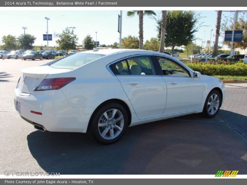 Bellanova White Pearl / Parchment 2014 Acura TL Technology