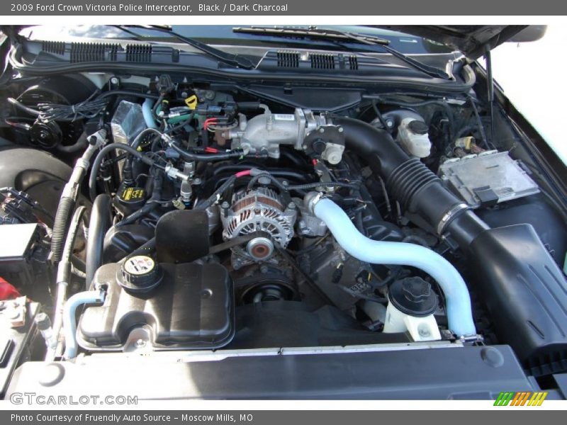  2009 Crown Victoria Police Interceptor Engine - 4.6 Liter SOHC 16-Valve V8