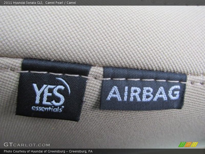 Camel Pearl / Camel 2011 Hyundai Sonata GLS