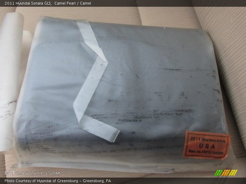 Camel Pearl / Camel 2011 Hyundai Sonata GLS