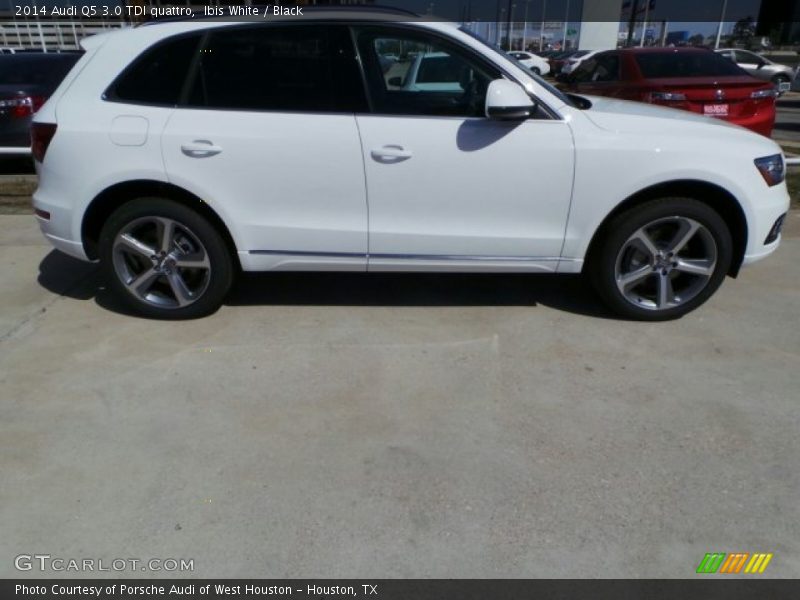 Ibis White / Black 2014 Audi Q5 3.0 TDI quattro