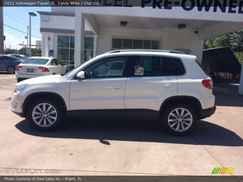 Candy White / Charcoal 2011 Volkswagen Tiguan SE