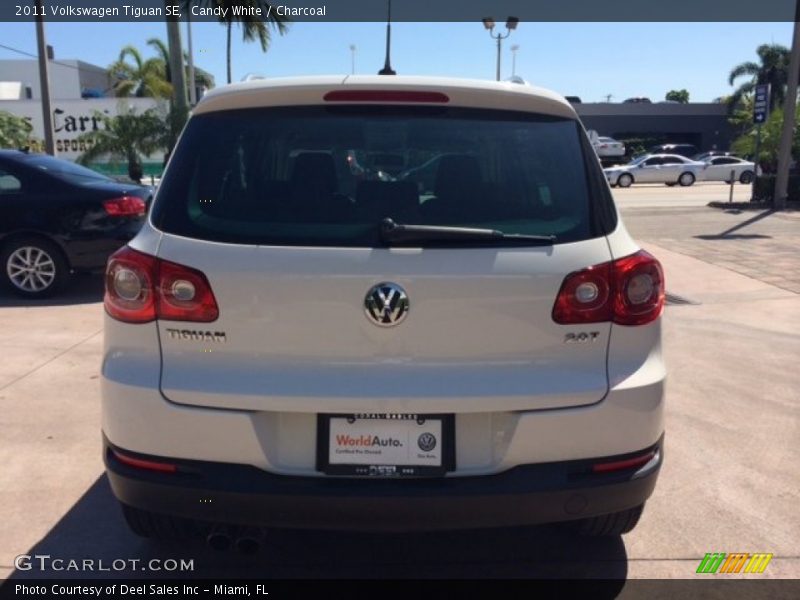 Candy White / Charcoal 2011 Volkswagen Tiguan SE