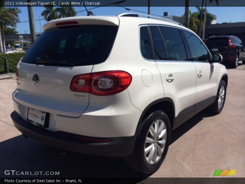 Candy White / Charcoal 2011 Volkswagen Tiguan SE